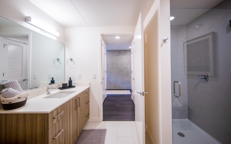 Walk-in glass shower and double-size vanity